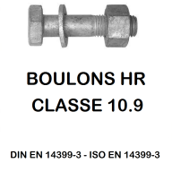 BOULONS SPECIAUX FORGÉE 